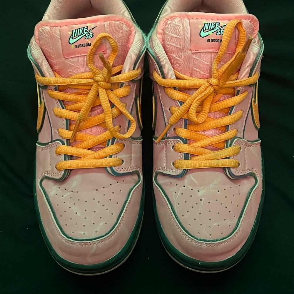 Nike SB Pink and Orange Skate Shoes